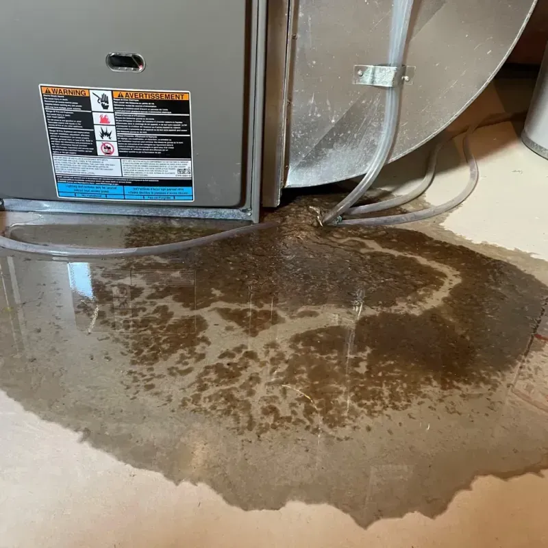 Appliance Leak Cleanup in Flossmoor, IL